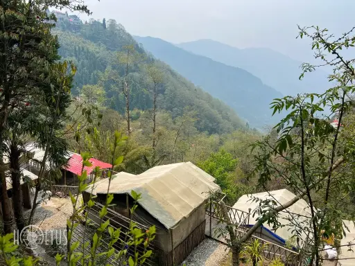 DEOJA FOREST STAY — photo 2