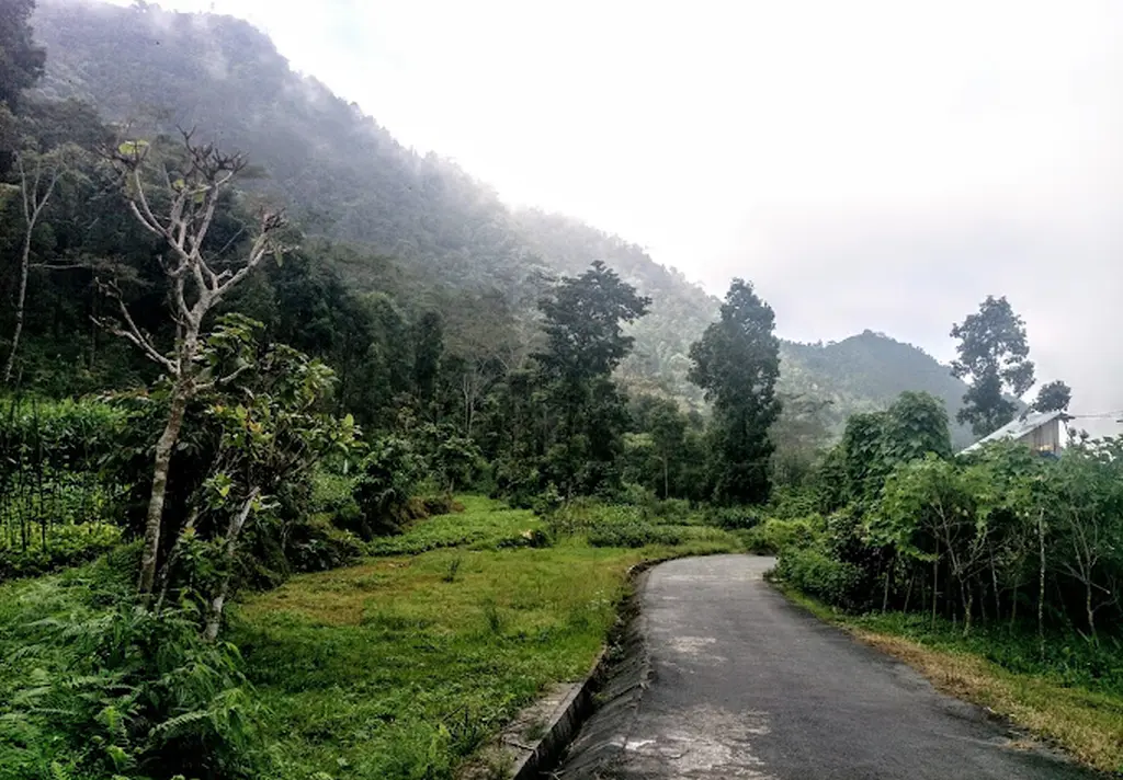 Pabung Homestay — photo 3