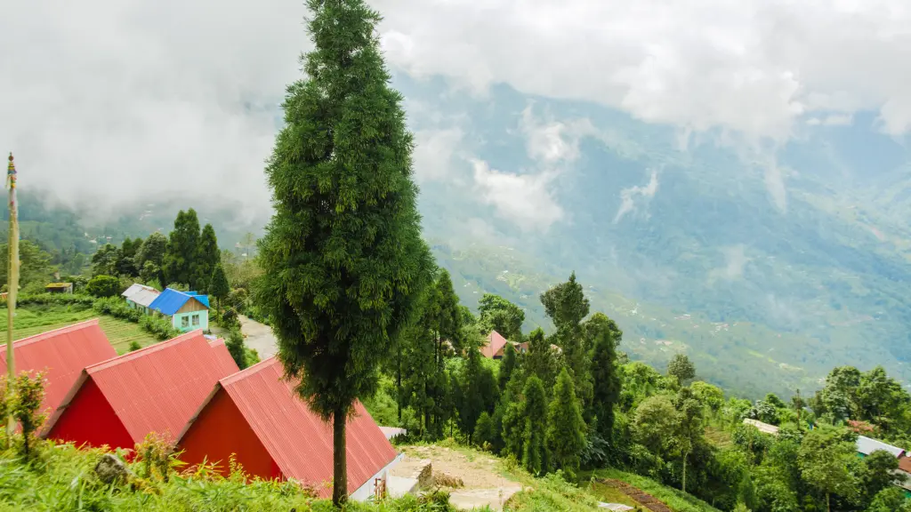 Walk In Clouds Homestay — photo 2